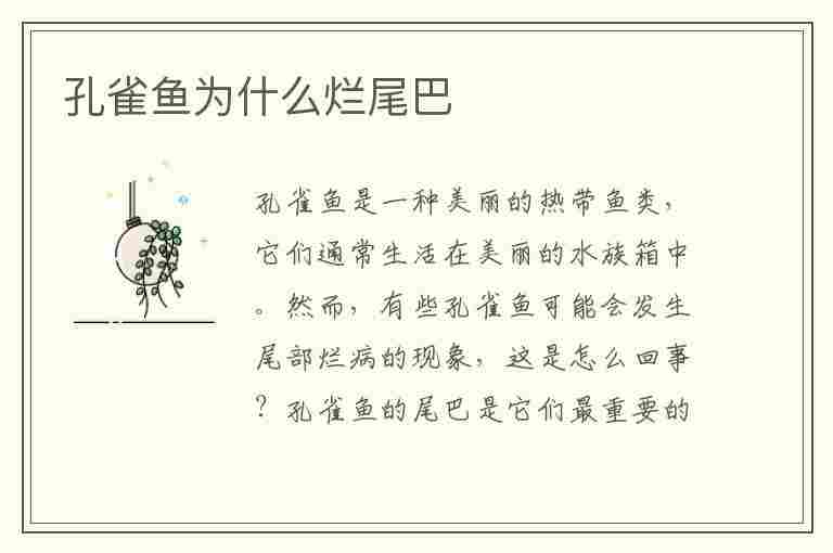 孔雀鱼为什么烂尾巴(孔雀鱼为什么烂尾巴会死)